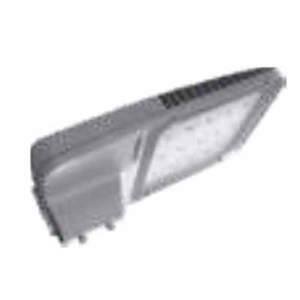 Đèn Đường Paragon PSTM100L 100W