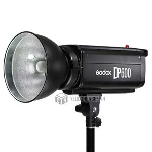 Đèn Flash Studio Godox DP600