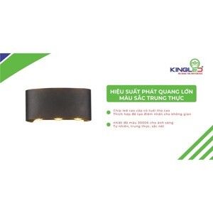 Đèn gắn tường ngoài trời Kingled LWA8031