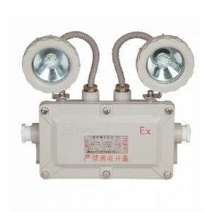 Đèn khẩn cấp phòng nổ Paragon LM-ZFZD-E4W