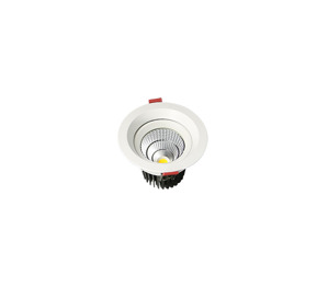 Đèn led âm trần VinaLED DL-SW10 - 10W