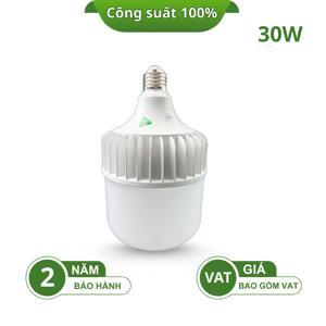 Đèn LED Bulb Kawa TN100-30W