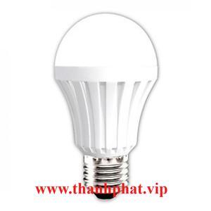 Đèn LED bulb thân nhựa Điện Quang ĐQ LEDBUA55 5W