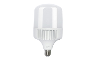 Đèn led bulb trụ Kingled LB-20-T80