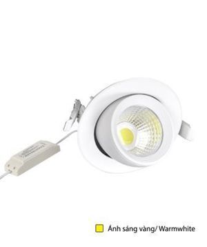 Đèn led chiếu điểm 20W ĐQ LEDRSL03 20727 Điện Quang