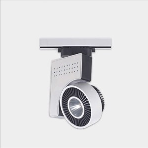 Đèn led chiếu điểm 23W ĐQ LEDTSL02 23740 Điện Quang