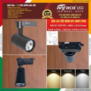 Đèn led chiếu điểm Anfaco AFC 908D - 20W