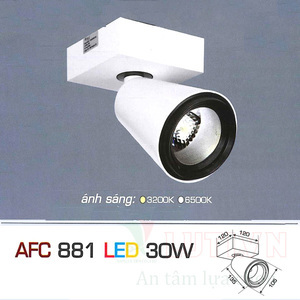 Đèn led chiếu điểm Anfaco AFC-881 - 30W