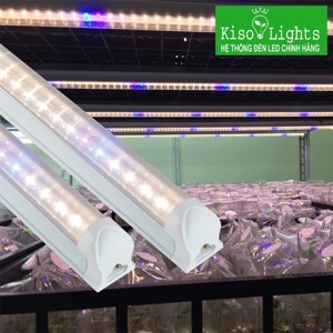Đèn led D NCM 120/16W – WBU
