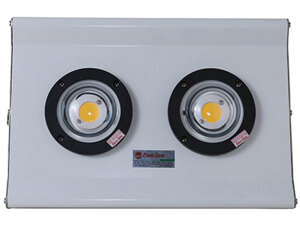 Đèn Led đánh cá D DC04L/200W