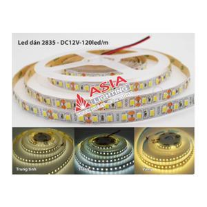 Đèn Led Dây 12V ASIA LDA35