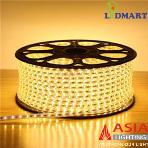 Đèn led dây 2  hàng Led Asia LD5730-120