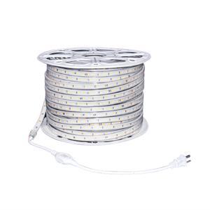 Đèn LED dây Điện Quang ĐQ LSL04 9WW IP66