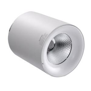 Đèn LED downlight 25W gắn nổi ánh sáng MPE mã SDL-25T