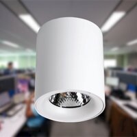 Đèn LED downlight 25W gắn nổi ánh sáng MPE mã SDL-25T