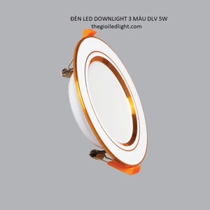 Đèn LED Downlight 3 Màu DLV 5W