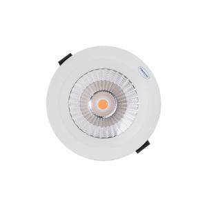 Đèn LED downlight chống thấm 10W ParaGon PRDAB110L10