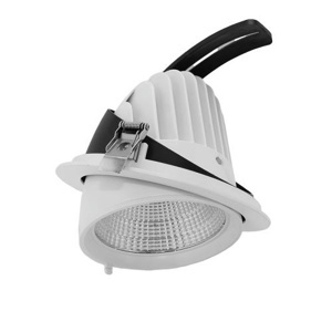 Đèn Led downlight điều chỉnh MPE DLA-50 50W