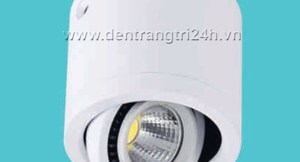 Đèn led downlight LN-03 15W