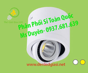 Đèn led downlight LN-03 15W