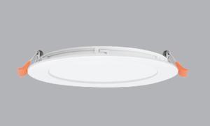 Đèn Led Downlight RPE-6V MPE