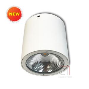 Đèn Led downlight trụ trang trí ngoài trời Panasonic NSDL2236-73