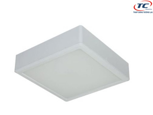 Đèn led gắn nổi DGB0123 12W