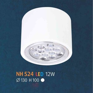 Đèn led NH-524