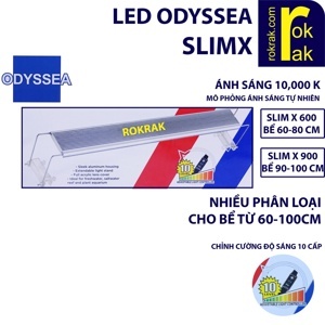 Đèn led Odyssea Slim X 600