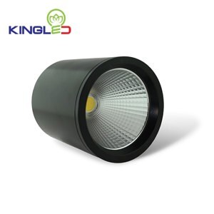 Đèn led ống bơ rọi kingled 15W OBR 15