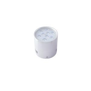 Đèn led ốp trần B-L9-9W