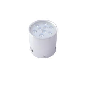 Đèn led ốp trần B-L9-9W