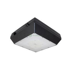 Đèn Led Ốp trần chống thấm DRG0301