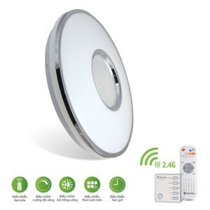 Đèn LED ốp trần D LN19L 490/40W