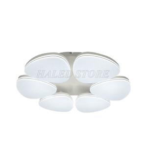 Đèn Led ốp trần Điện Quang 108W LEDCCL07 108S