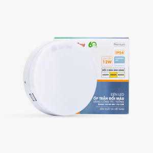 Đèn LED ốp trần đổi màu LN12 ĐM 300/24w