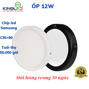 Đèn led ốp trần Kingled Moonstone ONL-12SS-T150