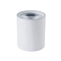Đèn led ốp trần VinaLED CL-BW25 - 25W