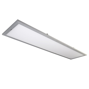 Đèn LED Panel Rạng đông D P01 30x120/50W