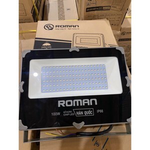 Đèn LED rọi ngoài trời Roman ELC1026/100A,W