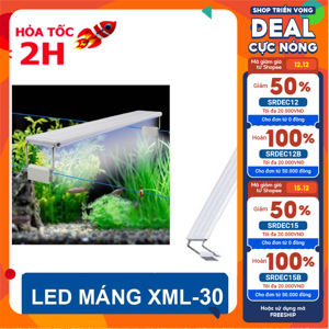 Đèn led trắng Xuanmeilong XML 30