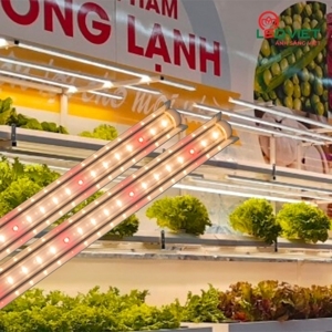 Đèn LED trồng rau TRR 25W 120/WR