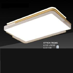 Đèn mâm áp trần LED L1100mm DC20-OT75CN