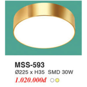 Đèn mâm áp trần MSS 593