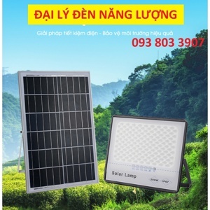 Đèn năng lượng mặt trời TS-89100