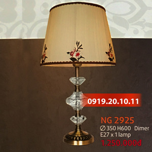 Đèn ngủ trang trí NG-2925