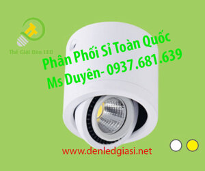 Đèn ốp trần Hufa LN-02