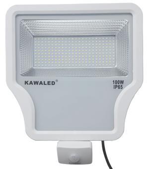 Đèn pha LED cảm ứng FL1S-100W