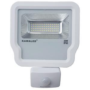 Đèn pha LED cảm ứng FL1S-30W