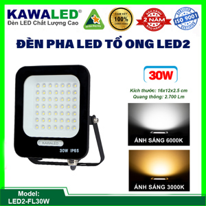 Đèn pha led mỏng đúc nguyên khối FL30W-T/V